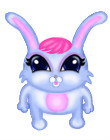  Lera,  -  20  2011     !