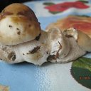 ���� ������, ���������, 47 ��� - ��������� 4 �������� 2012 � ������ �������