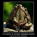 ���� �lena, �����, 56 ��� - ��������� 28 ������ 2013 � ������ ���� ����������