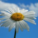 ���� Smile, ������, 55 ��� - ��������� 20 ������ 2010 � ������ ���� ����� � ������