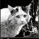 ���� �����, ��������� - ��������� 18 ������ 2013