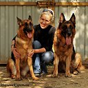 ���� � ���� ���� �� ������� ���� ����������