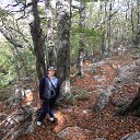 ���� ��������, ������, 44 ���� - ��������� 30 ������� 2012 � ������ ���� ����������