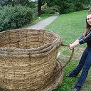 ���� ���, ����, 44 ���� - ��������� 22 ������� 2010 � ������ ���� ����������