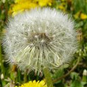 ���� �������, ������, 46 ��� - ��������� 4 ���� 2009