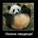 ���� Lucky, ������ - ��������� 23 ����� 2013 � ������ ���� ����������