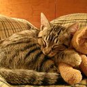    )))), , 47  -  15  2009   .