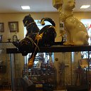 ���� ������, �����-���������, 49 ��� - ��������� 20 ���� 2013 � ������ ���� �����