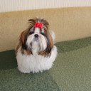 ���� �����, ����������, 57 ��� - ��������� 3 ������� 2012 � ������ ���� ����������