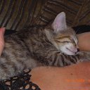 ���� �����, ������������, 50 ��� - ��������� 5 ������ 2010 � ������ �����