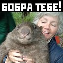 ���� ������, �����-���������, 40 ��� - ��������� 24 ����� 2012 � ������ ���� ����������