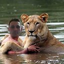 ���� ������, ���������, 59 ��� - ��������� 6 ������ 2013