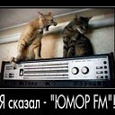 ���� ����, ������, 48 ��� - ��������� 8 ���� 2011 � ������ ����