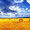 ���� ���������, ������, 64 ���� - ��������� 15 ���� 2012 � ������ �������