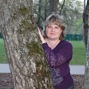 ���� �����, ������, 49 ��� - ��������� 25 ���� 2013 � ������ ���� ����������