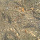 ���� ˸��, �������, 55 ��� - ��������� 20 ���� 2010 � ������ �������