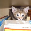 ���� �����, ������������, 50 ��� - ��������� 5 ������ 2010 � ������ �����