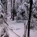 ���� ̳��, ��������, 55 ��� - ��������� 1 ���� 2012 � ������ ���� ����������