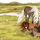 ���� �����, ���������, 29 ��� - ��������� 2 ������� 2009 � ������ �������