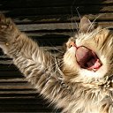 ������� ����, ��� ����� � ���� ����������!!! ������ ����������� � ����� ��� ���� ����� ��..., �� ���� ������ �...� ��������. �� ������� ������� �������� �� ����..�