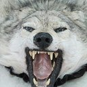 ���� �����, �����-���������, 49 ��� - ��������� 2 ������� 2013