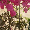 ���� Natali, ������ - ��������� 1 ���� 2010 � ������ ������-��� ������.....�