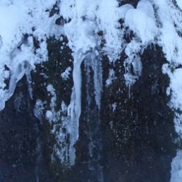 �����, ����������, 63 ����