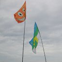 , , 62  -  6  2013    