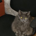 ���� ���������, �����, 58 ��� - ��������� 29 ������� 2011 � ������ ���� ����������