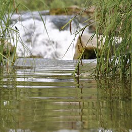 ���� �������, ����������� - ��������� 29 ���� 2013