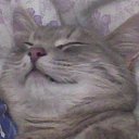 ���� ������, ���������, 65 ��� - ��������� 8 ������ 2012 � ������ ���� ���λ