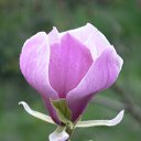 ���� ���, ������ - ��������� 13 ������ 2010 � ������ �������