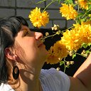 ���� ����, �����-���������, 43 ���� - ��������� 24 ������� 2011 � ������ ���� ����������