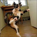 ���� ������, ������� - ��������� 8 ������ 2011 � ������ ������ ��� �����...�