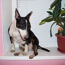 ���� �����, ���������, 43 ���� - ��������� 2 ������ 2011