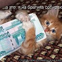 ���� �����, ������������ - ��������� 17 ���� 2010 � ������ ��������