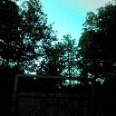 ���� ����, �����-���������, 55 ��� - ��������� 13 ���� 2010 � ������ ������-��������� ����� ���Ȼ