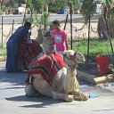 ���� ������ ( ����� � �� ), ����-����, 65 ��� - ��������� 23 ���� 2012 � ������ ��������� �� ������� ����))�