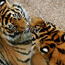   !,  -  27  2009     ...