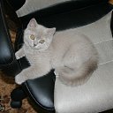 ���� �����, ������, 52 ���� - ��������� 20 ������� 2012 � ������ ���� ����!!�