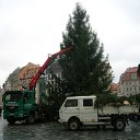 ���� Irina, �������� - ��������� 14 ������� 2011 � ������ ��������_������� 2010�