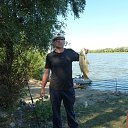 ���� ������, ���������, 53 ���� - ��������� 4 ���� 2013 � ������ ���� ����������