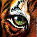 ���� �����, ����-���������, 39 ��� - ��������� 4 ������� 2012 � ������ �������