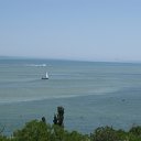 ���� �������, ����, 37 ��� - ��������� 17 ���� 2010 � ������ �������