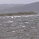 ����� �� �������� ������� 16.05.2011