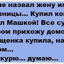 ���� ��������, ����������, 44 ���� - ��������� 14 ���� 2013 � ������ ������ ��������