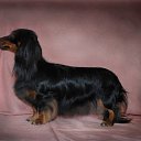 ���� &deg;&bull;*������&deg;&bull;*, ����������, 23 ���� - ��������� 15 ��� 2010 � ������ ���� ��������