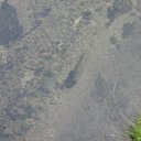 ������ �� ������� �����������