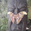  , --, 36  -  3  2011   