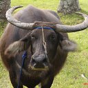 ���� Aleksandr, ����, 54 ���� - ��������� 14 �������� 2011 � ������ �������